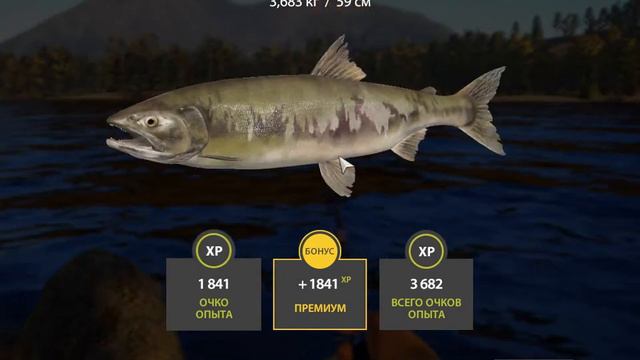 Русская рыбалка 4 река Яма Кета. Russian fishing 4 Yama смотреть онлайн