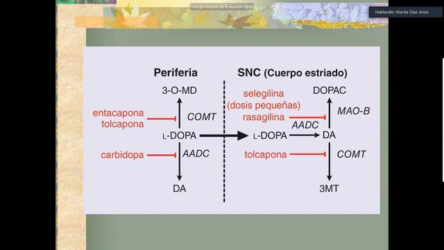 23 Antiparkinsonianos y Alzhéimer смотреть онлайн
