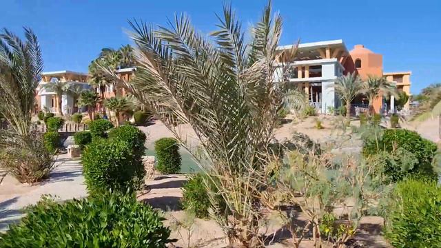 Sheraton Miramar Resort El Gouna, обзор 2020-2021. Как работает отель после пандемии. смотреть онлайн