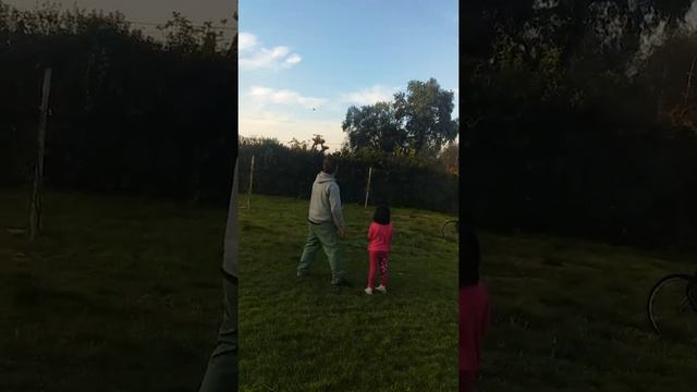 Cesar Antonio bruna soto(1) смотреть онлайн