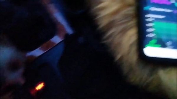 Мониторинг аккумулятора BM6 Battery Monitor