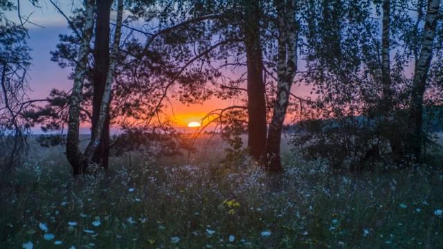 Свет Дня Прошедшего .Душевная Музыка. смотреть онлайн