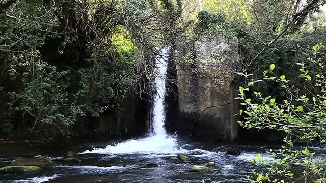 Slowmotion della Cascata del Monte Gelato girato con Canon EOS 7D смотреть онлайн