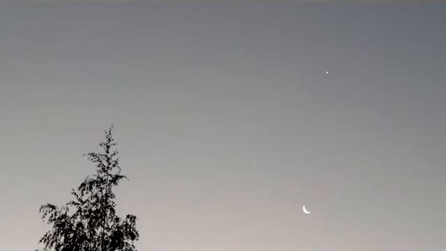 Venus and Moon - Венера и Луна смотреть онлайн