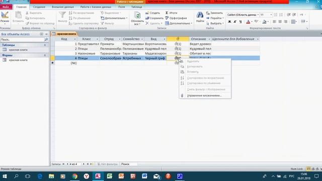 Внесение изображений в базу данных смотреть онлайн