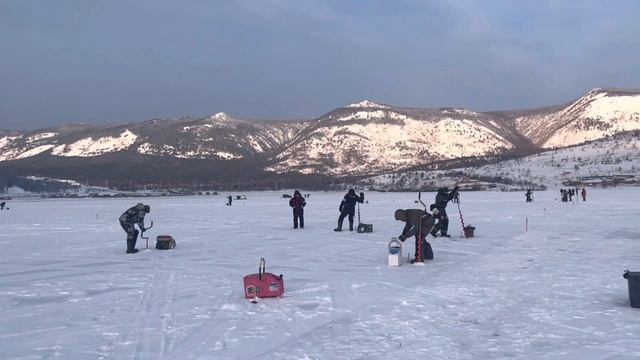 Чемпионат по ловле на мормышку со льда . смотреть онлайн