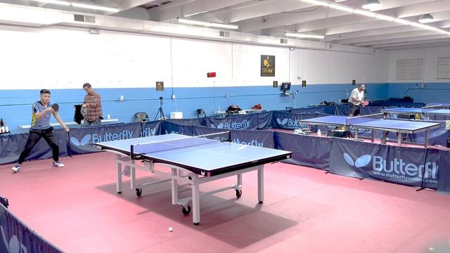 An HONEST Review Of The  Butterfly Viscaria Super ALC