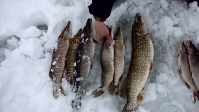 Рыбалка на флажки и жерлицы .MPG смотреть онлайн