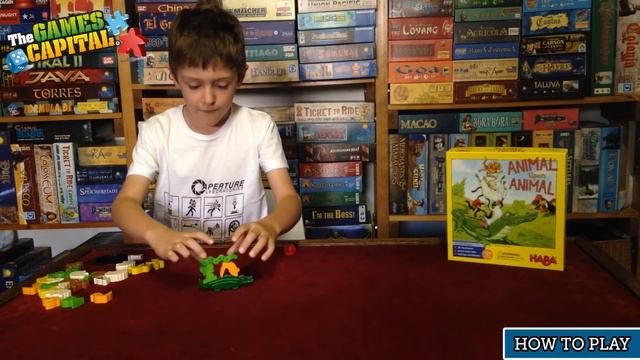 How to Play - Animal Upon Animal - The Games Capital смотреть онлайн