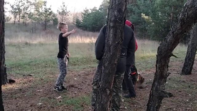 Cобака - спасатель малинуа Спарки "Шпуня", 6,5 лет. Павлоград "АNTARES." смотреть онлайн