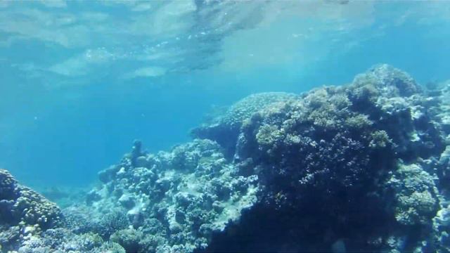 Египет. Хургада. Красное море. смотреть онлайн