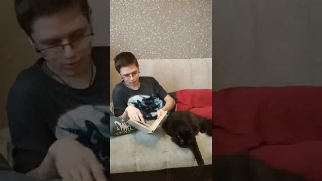 Рассказ Н. Н. Носова «Живая шляпа». Библиотека им. Н. С. Лескова. смотреть онлайн