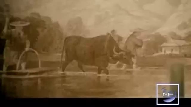 【New Frontier HQ】 Chinese Civilization (20) The Qing Dynasty Part 02 смотреть онлайн