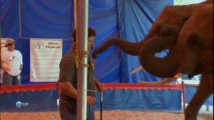 Всё об Америке «Висконсин» (документальный сериал, 2003-2007)