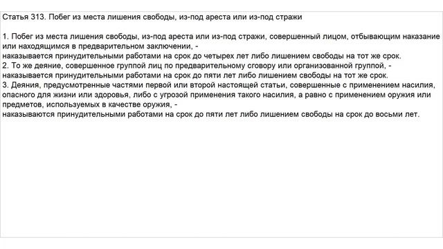 Статья 313 УК РФ. Побег из места лишения свободы, из-под ареста или из-под стражи смотреть онлайн