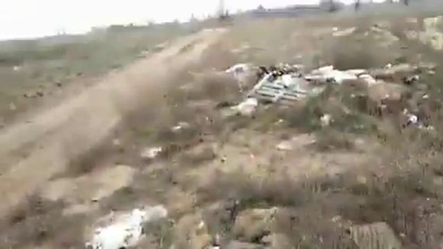 сжигание мусора смотреть онлайн