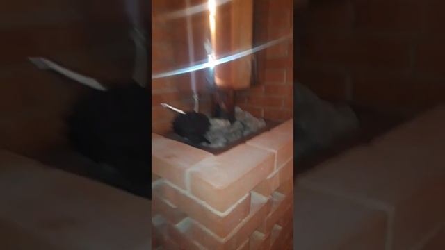 ПРОЕКТ БАНИ 4 на 4 МЕТРОВ. смотреть онлайн