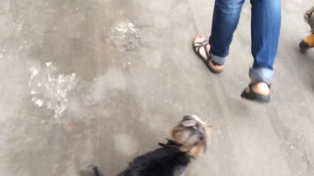 Джек. Спасение смотреть онлайн