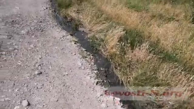 В Николаеве канализация по берегу течет прямо в реку смотреть онлайн