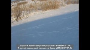 Речка Чик. Исследуем зимней рыбалкой.