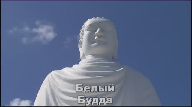 Ни кого кроме кошки смотреть онлайн