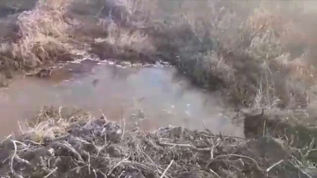 Далеко ли слышен звон колокола ??? Видно, оглохло наше правительство.. смотреть онлайн