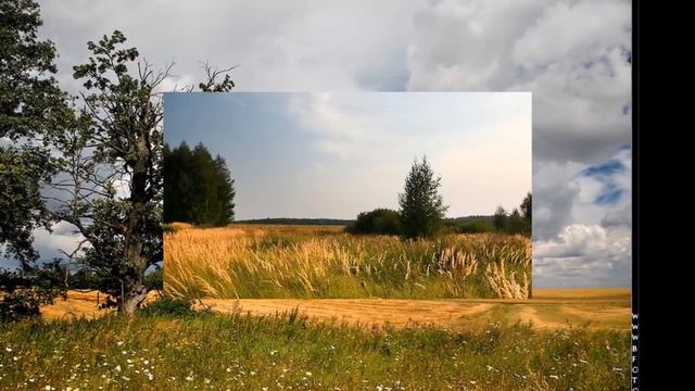 О как волнуется желтеющая нива,и свежий лес шумит при звуке ветерка! смотреть онлайн