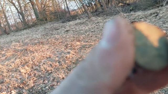 В поиске клада! Коп и отдых на природе с металлоискателем. смотреть онлайн