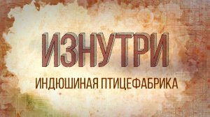 Изнутри - Индюшиная птицефабрика.mp4