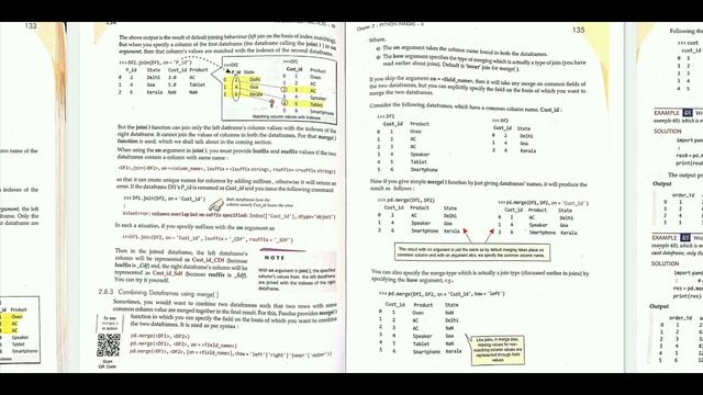 Class 12 Python Pandas Information Practises In Hindi Chapter #2 || #6 By Sumita Arora смотреть онлайн