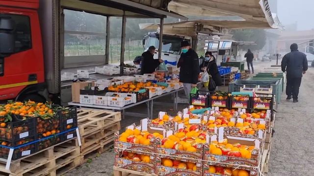 VLOG:Пальцы у кота,сколько?/Италия,Музыка,базар,цены/Странная погода