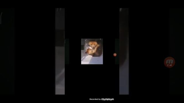 смотрим и смеёмся.канал называется squewe смотреть онлайн