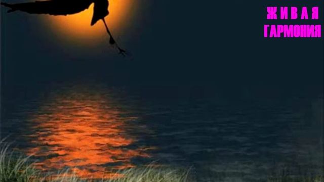 Секреты медитации. Какой вид подходит лучше Вам?/саморазвитие, эзотерика, практика. смотреть онлайн