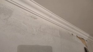 Как избавиться от плесени на стене под обоями