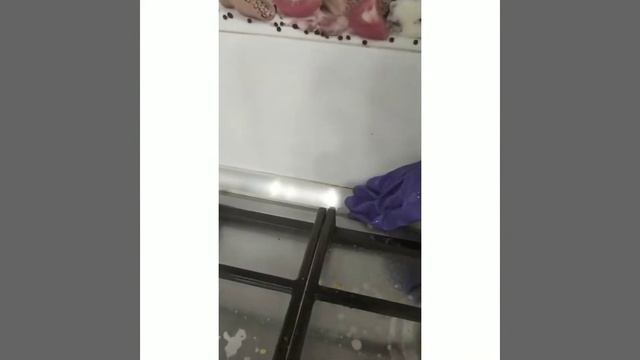 Фада Антижир відмиє на кухні все ? смотреть онлайн