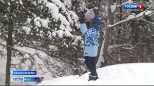 КУДА ИСЧЕЗ МОРСКОЙ ГЛАЗ