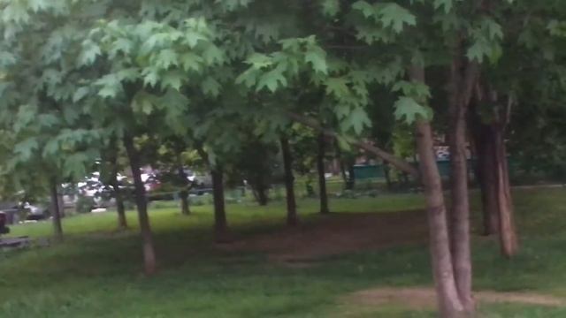 Каштаны в Москве зацветают и клены растут во дворе, сирень зацветёт тоже скоро... смотреть онлайн