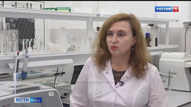 Единственная в мире - в Омске испекли первую булку из фиолетовой пшеницы смотреть онлайн
