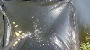 Рыбалка на ПАУК. Камера в подъёмнике и 15 забросов
