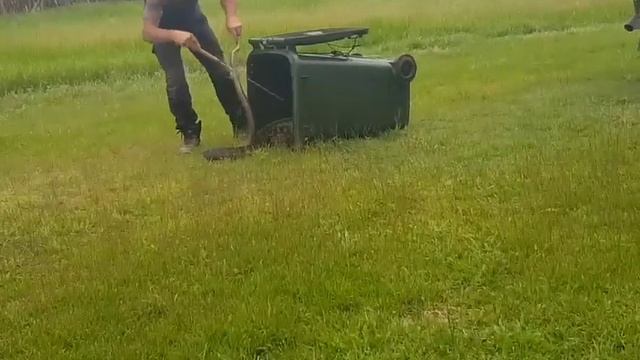 Queensland Couple Use Trash Can to Relocate Massive Python смотреть онлайн