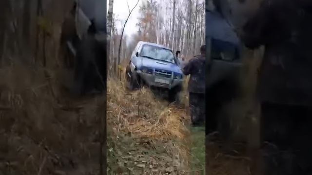 В лес за медом или как убежать от медведя по бездорожью. смотреть онлайн
