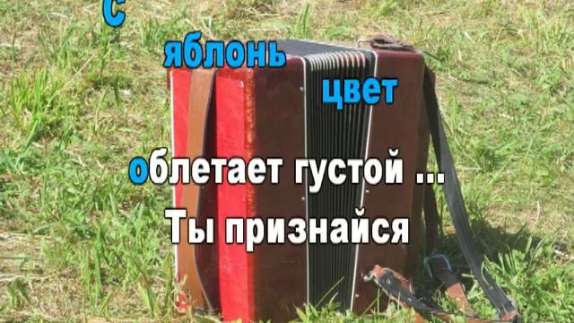 29 декабря 2020 г. смотреть онлайн