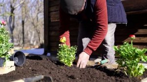 Готовлю квашеную капусту Азербайджанская Кухня Деревенская Кухня  Рецепты