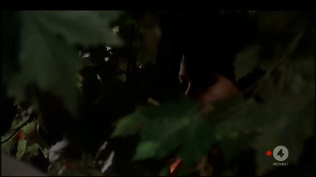 Edwige Fenech смотреть онлайн