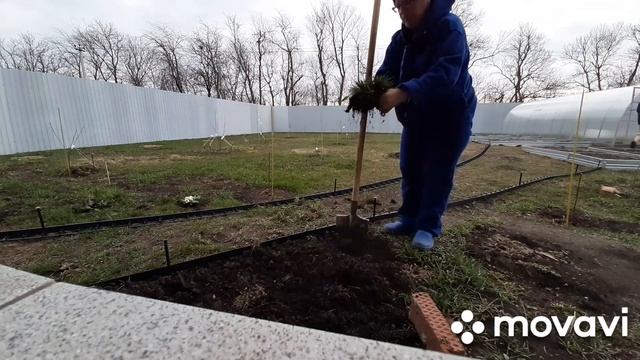 11-12.03.23. Высадили туи, готовим клумбы, сажаем подарки. смотреть онлайн