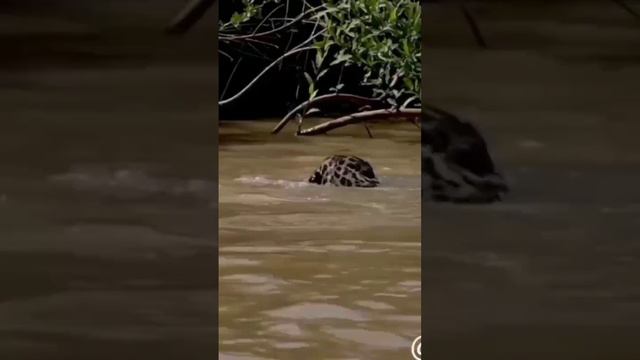 13 сентября 2023 г. смотреть онлайн