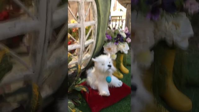 30 апреля 2023 г. смотреть онлайн