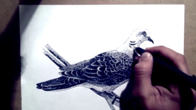 Точечная графика - Голубь/The scatter graph - A dove смотреть онлайн