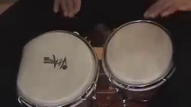 Bongo Drumming with Trevor Salloum #3: Bossa Nova смотреть онлайн