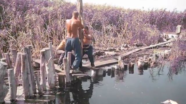 svai 001.avi смотреть онлайн